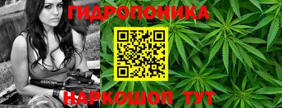 a pvp Севастополь
