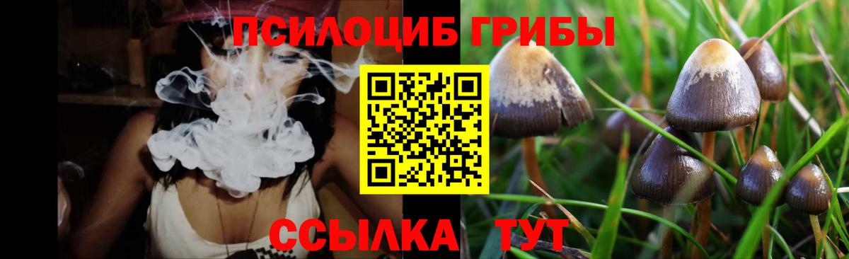 где найти   Вход с VPN  Обь  Псилоцибиновые грибы GOLDEN TEACHER  Псилоцибиновые грибы прущие грибы 